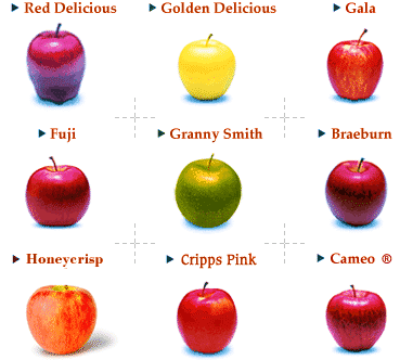 Main Apple Varieties.